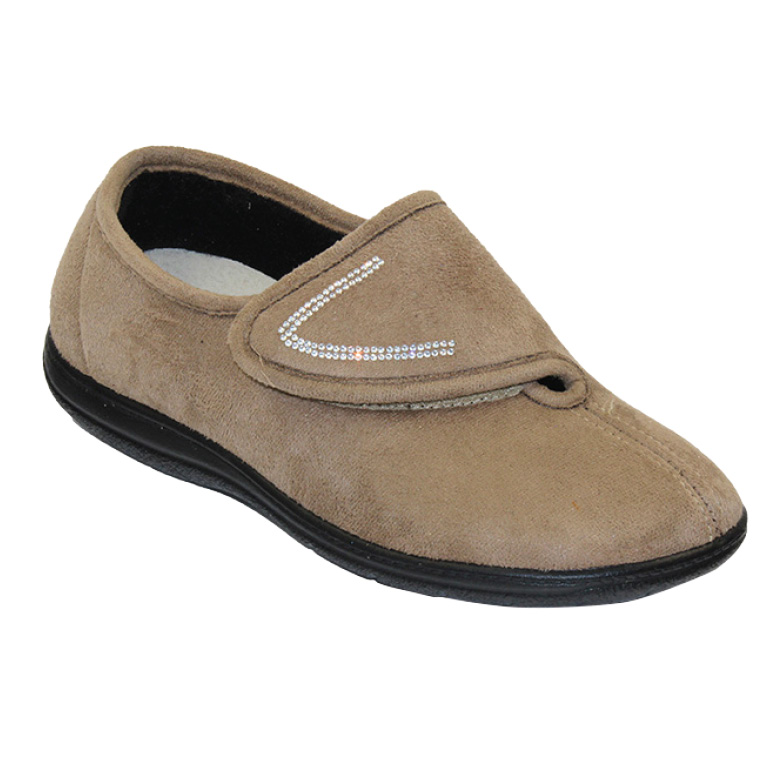 PO/6142  TORTORA foto